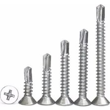 Happy Trend Vidası Havşa Başlı Kalite Dın 7504P Yhb Matkap Uçlu Metal Levha Saç Panel Vidası Galvaniz Kaplama (150, 3.9X13)