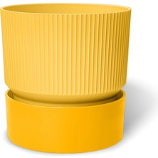Happy Trend Saksı Dekoratif Tabaklı Çiçek Kaktüs Saksısı Mat Plastik (1 Adet, Sarı, 4 Litre)