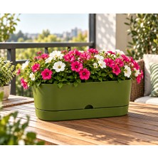 Poliwork 5.5 Litre Haki Yeşil Begonya Balkon 30 Saksı Dekoratif Tabaklı Izgarasız Drenajlı Mat Plastik Saksı 30 x 14 x 14,5 cm