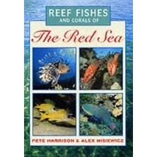 The Red Sea Kitap