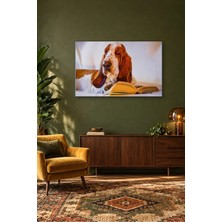 Fida Kitap Okuyan Basset Hound Canvas Tablo