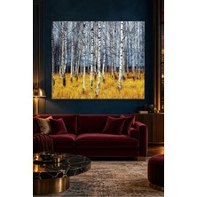 Fida Sarı Otlar Üzerinde Huş Ağacı Ormanı Canvas Tablo