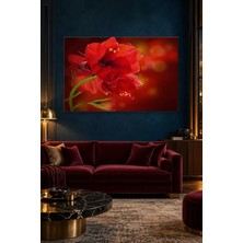 Fida Işıltılı Kırmızı Fonda Amarilis Çiçekleri Canvas Tablo