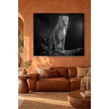 Fida Siyah Beyaz Kayada Oturan Leopar Canvas Tablo