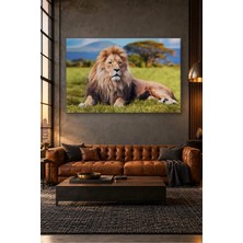 Fida Savana Çimeninde Uzanan Aslan Canvas Tablo