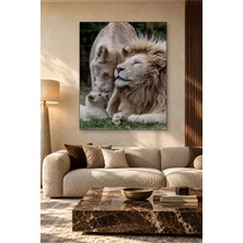 Fida Beyaz Aslan Ailesi Yavrusuyla Canvas Tablo