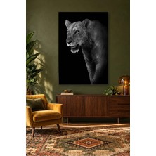 Fida Karanlıktan Çıkan Dişi Aslan Canvas Tablo