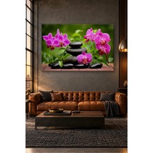 Fida Siyah Spa Taşları ve Pembe Orkideler Canvas Tablo