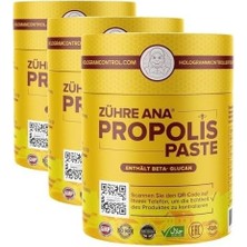 Çelik Ticaret Propolis Macunu - Beta Glukan ve Ginseng Katkılı Hologramlı Ürün (3 Paketi)
