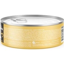Çelik Ticaret Prochoice Shredded Tahılsız, Hipoalerjenik, Tiftiklenmiş Balıklı & Karidesli Yaş Kedi Maması 70 gr