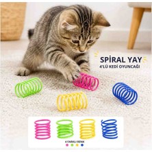 Şirin Home 4'lü Renkli Spiral Yay Kedi Oyuncağı, Esnek ve Hareketli Eğlenceli Kedi Oyun Seti