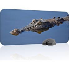 Timsah Oyuncu Gaming Mouse Pad Kauçuk Kaymaz Taban Mousepad (V1, 70X30 Xl)