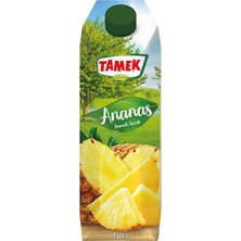 Ecotrend Tamek Ananas Nektar 1 Lt