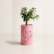 Ecotrend 3D Baskı Emoji Planter - Göz Kırpan Yüzlü Sukulent Saksısı-Pembe