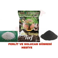 Dekoratif Abant Paket Bitki Toprağı (Torf) 10 Lt