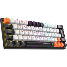 Parley Rainbow Aydınlatmalı Türkçe Q Blue Switch Mekanik Gaming Oyuncu Klavyesi (Beyaz/siyah)