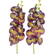 Yapay Çiçek Mor Sarı Çizgi Desenli Islak Orkide Gerçeksi Doku Uzun Dal 90 cm