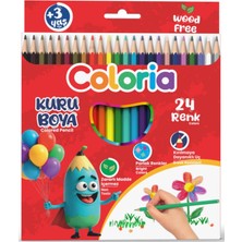 Coloria Kuruboya 24'lü
