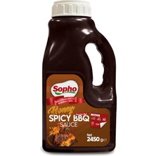 Tr Ballı Baharatlı Barbekü Sos 2450G | Tütsülü, Hardallı, Tatlı-Acı