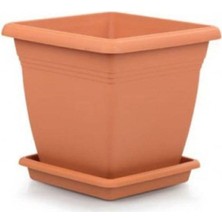 Tr Asenya Kare Saksı 4,6 Lt 1 Adet Villa Kare Saksı Kahverengi Saksı Bahçe Saksısı Plastik Sak