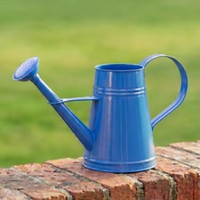Tr Stella 3 Litre Metal Çiçek Bahçe Sulama Kabı – Modern Dekoratif Çok Amaçlı Sulak (Mavi)