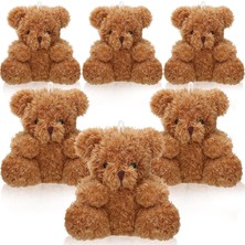 Tr 6 Parça Mini Ayı Peluş Doldurulmuş 10,5 cm Küçük Ayı Toplu Hayvan Oyuncakları Bebek Duş