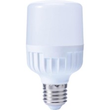 Tr CT4242 40 Watt LED Ampul, Gün Işığı Işık Çeşidi