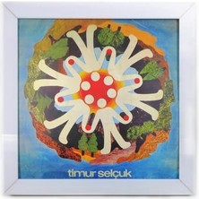 Plak Duvar Çerçevesi (White, 12 (Lp))