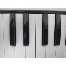 CR32BK Melodika 32 Tuşlu Siyah Renk Eva Çantalı