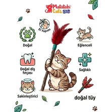 Tüylü Çubuk Doğal Çiğneme Çubuğu, Tüylü Kedi Oyuncağı 2'li (Kedi Otu/nanesi Değildi