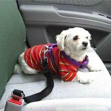 Evcil Hayvan Oto Araba Araç Emniyet Kemeri Tasması Kedi Köpek