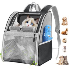 Kedi Sırt Çantası, Nefes Alabilir File ve Geliştirilmiş Çelik Çerçeveli Polyester Evcil Hayv