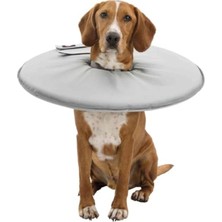 Frefly Store Köpek Yakalığı S: 30-34 Cm, 19,5 cm Gri