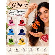 🐞 5 Li Şanslı Uğur Böceği Dekor Duvar Süsü