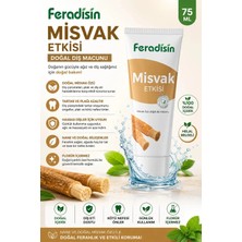 Feradisin Bitkisel Diş Macunu Misvak Etkisiyle 75 ml Doğal Ağız Bakımı