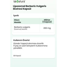 Venatura Lipozomal Berberis Vulgaris Ekstresi 60 Kapsül