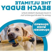 Mythriva Petstages 69501M Earl - Lateks Tavuk - Squeaker ile Köpek Oyuncak - L, Çok Renkli, 1 Adet