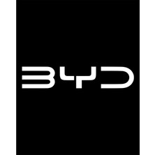 Zepplin Giyim Byd Logo White Büyük Sırt Patch Yama