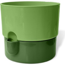 Odea Dora Saksı Tabaklı Çiçek Kaktüs Saksısı Parlak Plastik Saksı (1 Adet, Yeşil, 1l, 13CM)