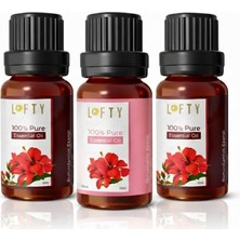 Odea 3 Adet Avantajlı Set Lofty Amber Romantik Saf Uçucu Yağ (10ML) -%100 Doğal Esansiyel Yağ | Etkileyici ve Egzotik Oda Kokusu, Buhurdanlık ve Difüzör Yağı