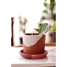 Odea Terracotta Saksi + Tabak Bordo Beyaz 10X9CM