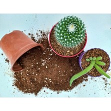Gy Atelier Kaktüs Toprağı 1 Lt Sukulent Toprağı Aloe Vera Toprağı Ithal Torf Pomza Perlit Vermikulit Karışımı