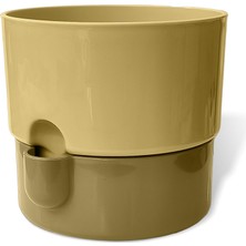 Odea Dora Saksı Tabaklı Çiçek Kaktüs Saksısı Parlak Plastik Saksı (1 Adet, Krem, 1l, 13CM)