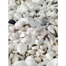 Odea Sosc Doğal Beyaz Dolomit Çakıl Taşı 0-1 cm Akvaryum ve Peyzaj 3 kg