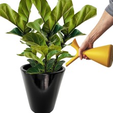 Dubai Serisi Large Boy Siyah Toprak Saksı – 24X21 Cm, Alt Tabaklı, Drenaj Delikli, Dekoratif
