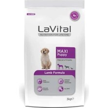 Gy Atelier Vital Kuzulu Büyük Irk Yavru Köpek Maması 3kg
