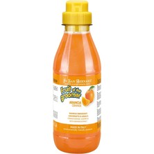 Gy Atelier Orange Shampoo Hair Loss Tüy Kaybına Karşı Portakallı Kedi ve Köpek Şampuanı 500 ml