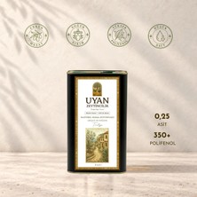 Uyan Zeytincilik Olgun Hasat Soğuk Sıkım Natürel Zeytinyağı 3 Lt.