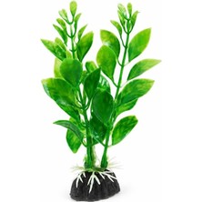 Odea Tr 3'lü Yapay Akvaryum Bitkisi Su Altında Sabit Kalarak Balıklarınıza Doğal Bir Saklanma Alanı Yaratır ve Solmayan Canlı Görünümüyle Tankınıza Estetik Katar 12 cm (Aquabacopa)