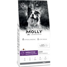 Odea Tr Hipoalerjenik Kuzulu Yaban Mersinli Orta ve Büyük Irk Yetişkin Köpek Maması 15 kg